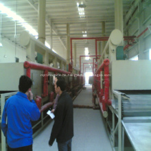 Professional fruit dryer Mesh-Belt drying machine